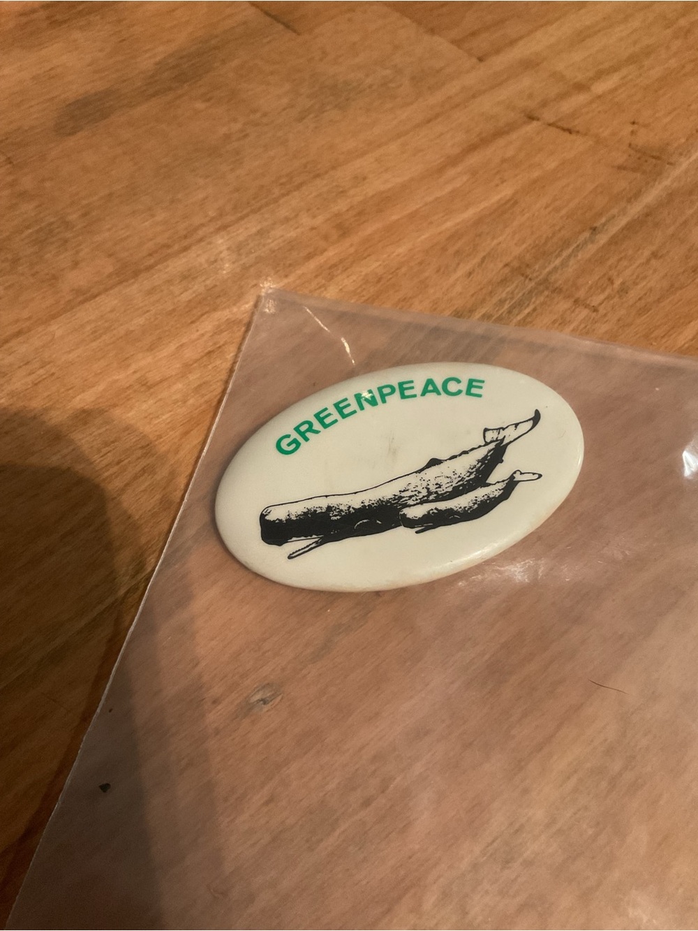 GREENPEACE SPERM WHALE & CALF 3" oval Pinback Button